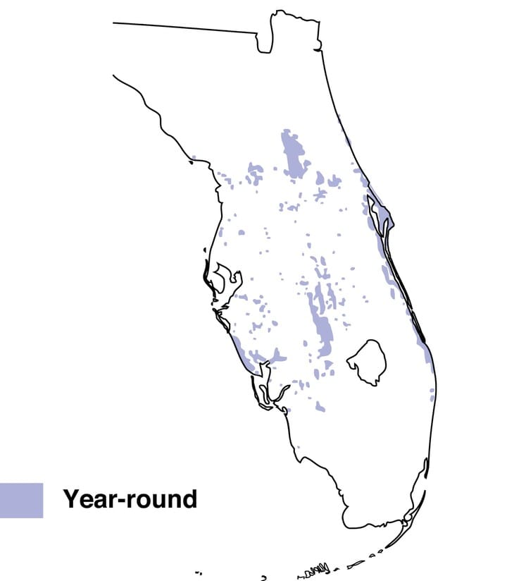 Florida scrub jay range map