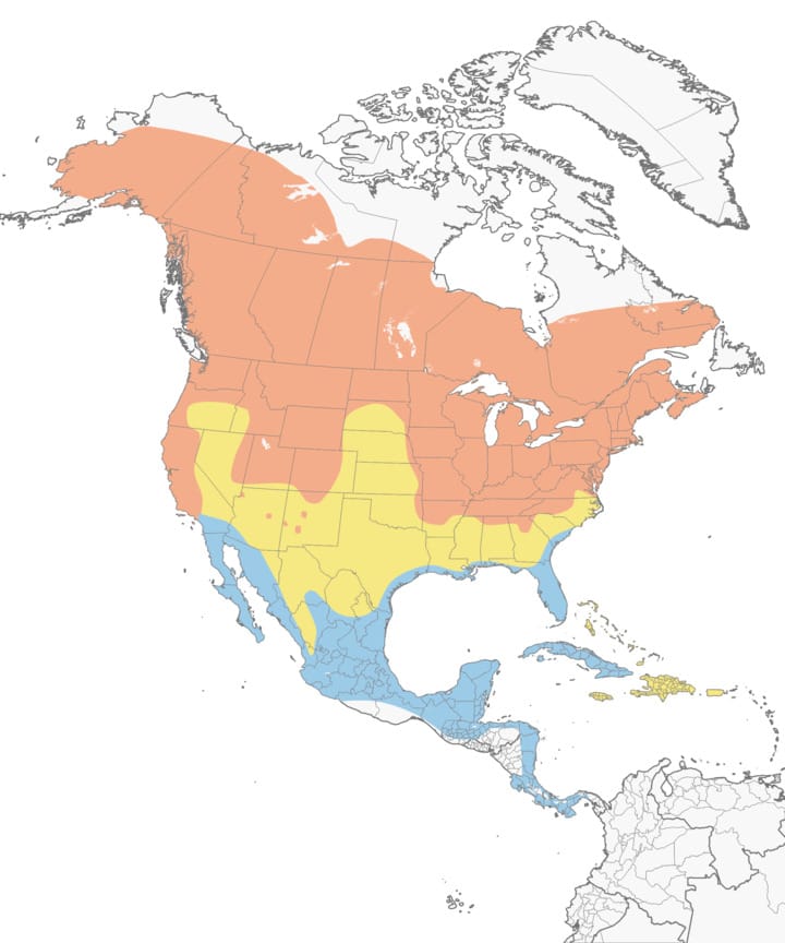 Tree swallow range map 
