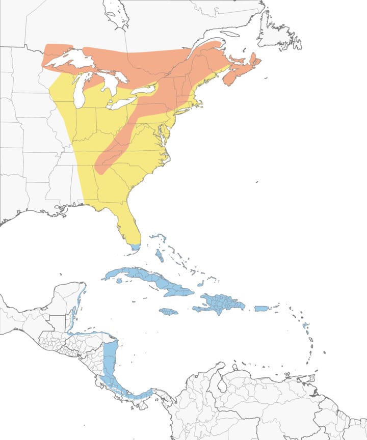 Range map of the Black throated blue warbler
