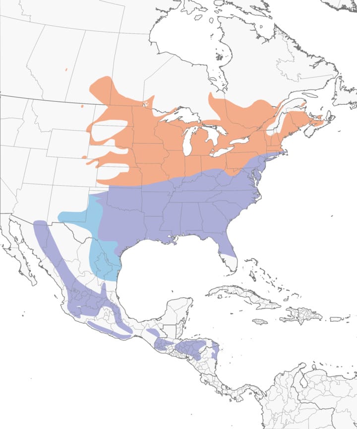 range map of Eastern Blue bird